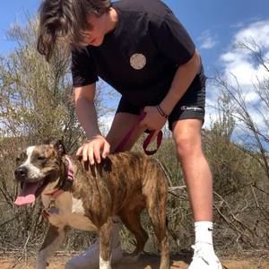 Meet your Posher, Brandon